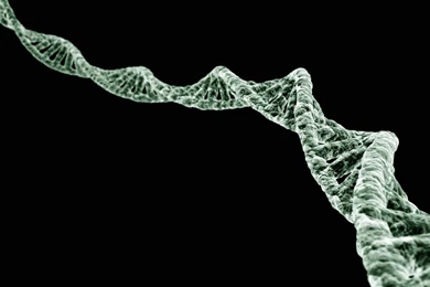 Wallpapers Dna File Name Miscellaneous Digital Art Jpg Resolution ...