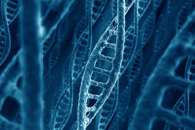 DNA Wallpapers   HD Images New