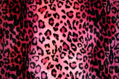 1440x1280 Mobile Phone Wallpapers Download   106   1440x1280 ...