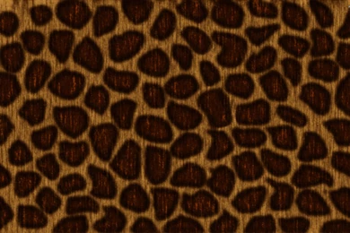 Leopard Skin Wallpapers Phone