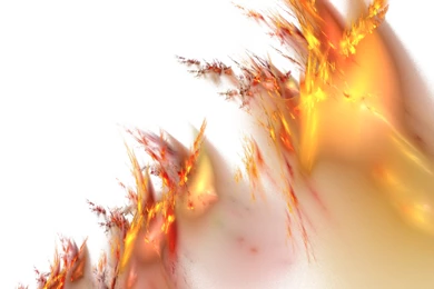 Orange White Wallpapers   Ndemok.com