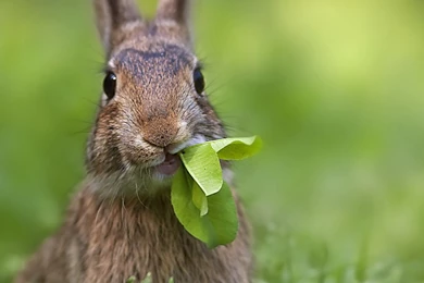 Hd Wallpapers   Page 15