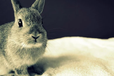 Index Of /img/uploads/artists