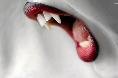 Vampire Fangs, Mouth, Digital art, 1920x1200 HD Wallpapers And FREE ...