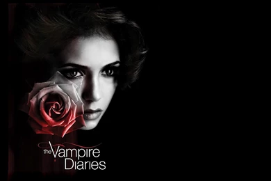 Vampire Diaries Wallpaper, Rose   HD Wallpapers