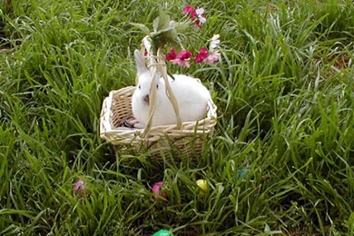 Santa Banta Wallpapers Nature   Wallpapers Cave