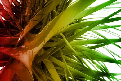 Rasta Smoke Wallpapers