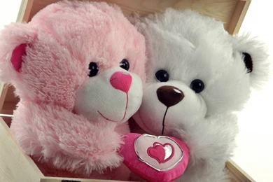 Happy Teddy Day 2016 Images, Pictures, HD Wallpapers For Facebook ...