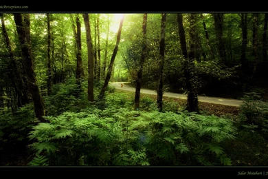 Very High Resolution Wallpapers – 4060×2468 High Definition ...