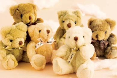 Teddy Bear Wallpapers Collections   Wallpapermonkey.com