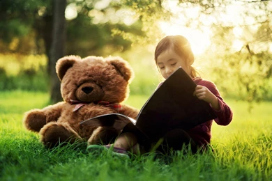 Teddy Bear Wallpapers HD Pictures