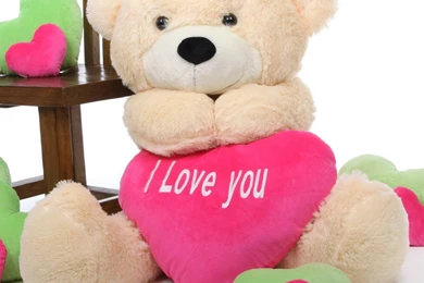 Cute Pink Teddy Bear Wallpapers For Desktop – Valentine Week 2016