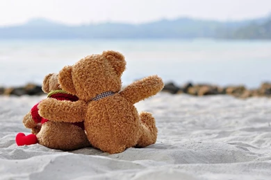 Teddy Bear Wallpapers Of Love HD Wallpapers For Desktop