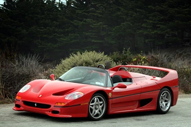FERRARI F50   Salno Dermon
