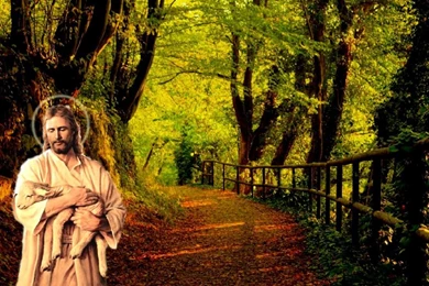 Christmas Jesus Christ Wallpapers Picture Download