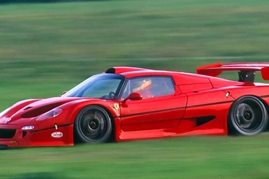 FERRARI F50   Salno Dermon