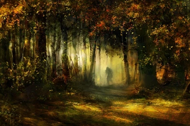 Fantasy Forest Awesome Artwork Human In The Deep Hd Wallpapers ...