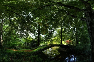 Wallpapers, Computer, Wallpaper, Community, Summer, Nature ...