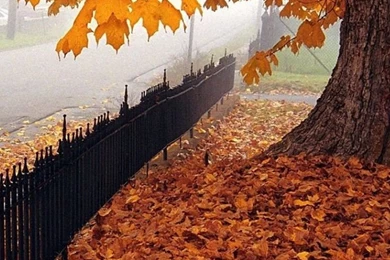 40 Best And Latest Samsung Galaxy S5 HD Wallpapers   Silky Designs ...