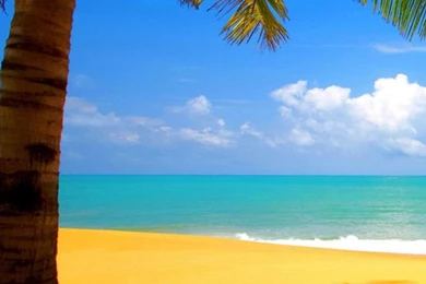 40 Best And Latest Samsung Galaxy S5 HD Wallpapers   Silky Designs ...