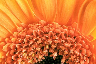 Galaxy S5 Wallpapers HD, Samsung Galaxy S5 Wallpapers