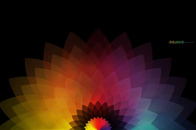 Color, Flower, Wheel, Background, Animated (