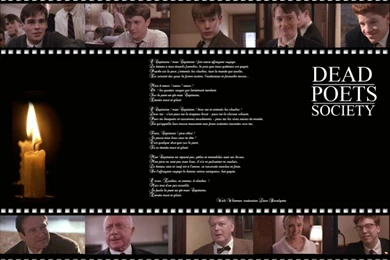 Wallpapers Movies > Wallpapers Dead Poets Society Le Cercle Des ...