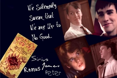 Wallpapers/Avatars/Sigs Etc.