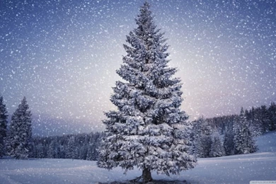 Desktop Winter Wallpapers HD   Live Wallpapers HD Desktop Wallpapers