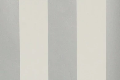 Eyebrow Wallpapers In Silver And White