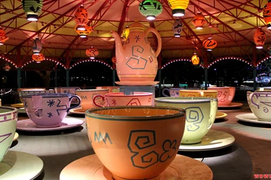 Mad Tea Party: Tea Cups At Park Closing!