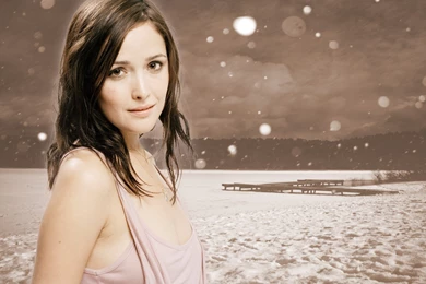 Rose Byrne Wallpapers