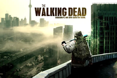 The Walking Dead Wallpapers Collection (39+)