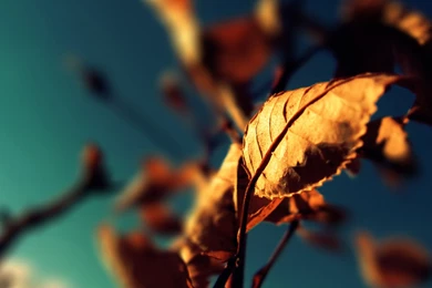 Computer Desktop Backgrounds Photography 1   HD Widescreen Wallpapers