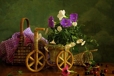 Wallpapers Photography Still Life Hd 2560x1600