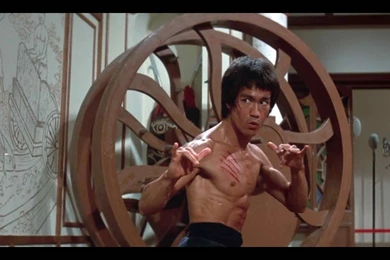 The Last Dragon Quotes