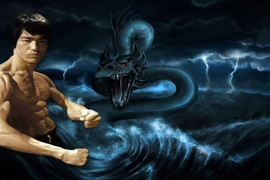 Bruce Lee Wallpapers   Wallpapers Cave