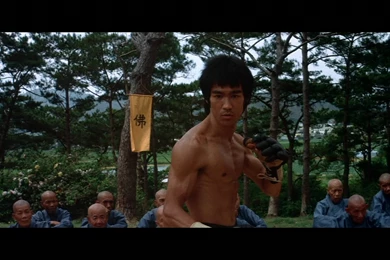 ENTER THE DRAGON Bruce Lee Martial Arts Movie Warrior W Wallpapers ...