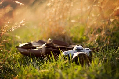 763523 Canon Pictures Wallpapers