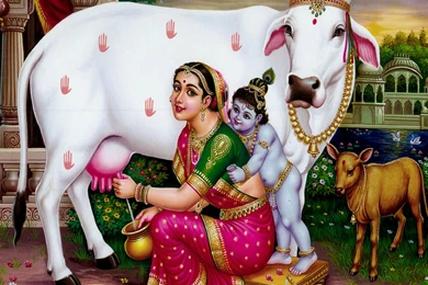 Shri Krishna Picture Download Free For Desktop Backgrounds