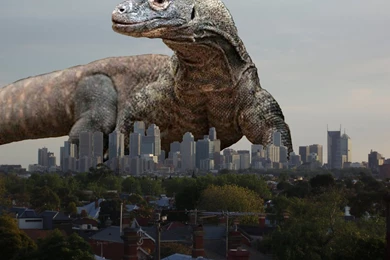 Browsing Digital Art On DeviantArt