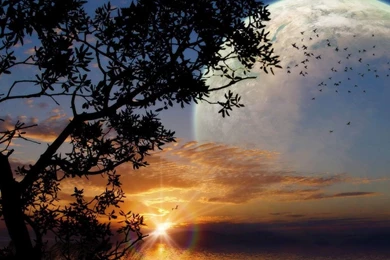 Sunset Wallpapers 3D