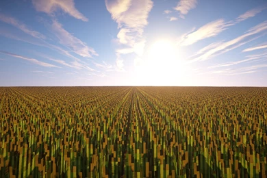 Wheat Wallpapers (1920x1080) : Minecraft