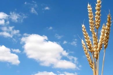 Awesome Cliff Pictures HD Wallpapers Free Download