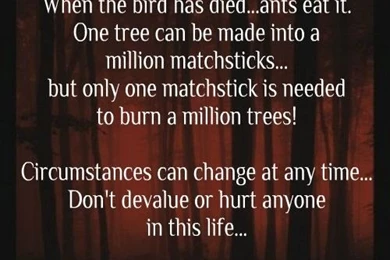 60 Philosophical Quotes On Life