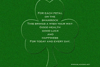 BlackDog's St. Patrick's Day Pre 2009 Wallpapers