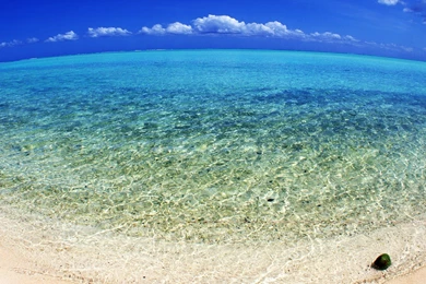 Tahitian Fish eye Lens Under The Sun Beach Wallpapers   1920x1080 ...