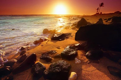 Beach Sun Wallpapers HD   Android Apps And Tests   AndroidPIT