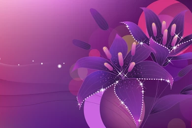 Best Flower Wallpapers Download HD Wallpapers Desktop Wallpapers ...