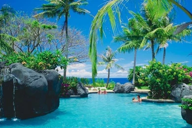 Blue Sea Paradise Sun Beach Palms